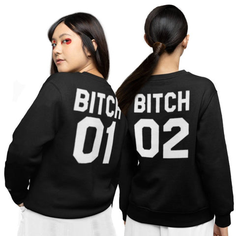 Freundschafts Pullover Der beste Freund ist liebenswert